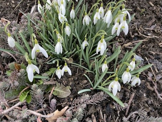 Der Frühling kommt