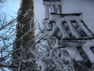Winter in Winkel