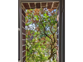Apartamento de vacaciones Dülmen Características 9