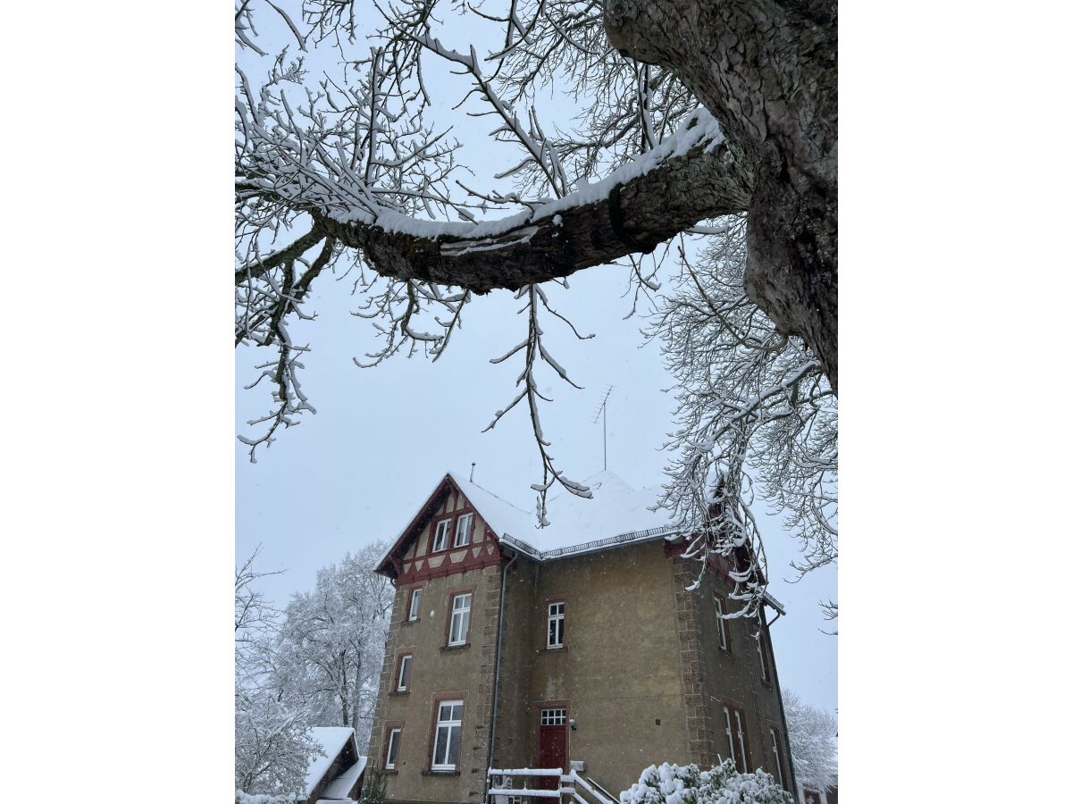 Winterschlaf 2