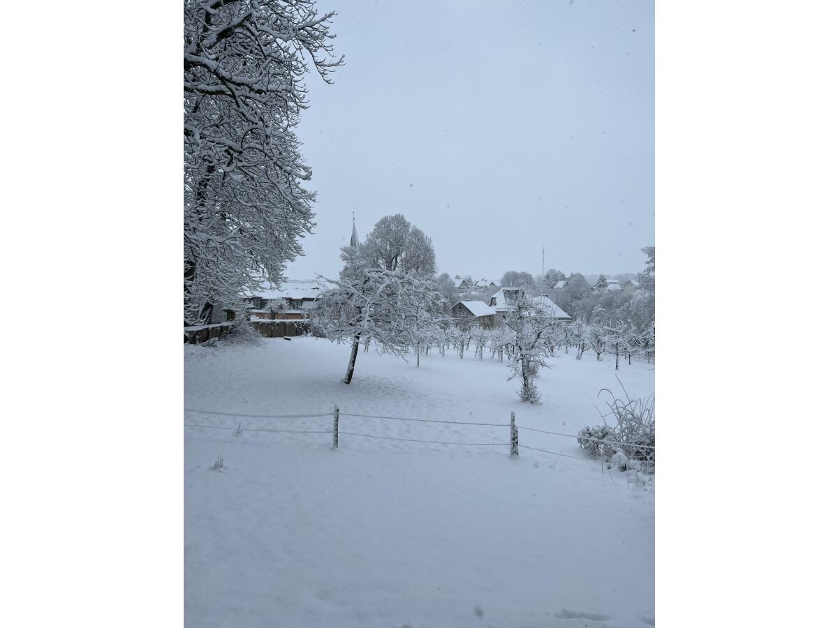 Winterschlaf