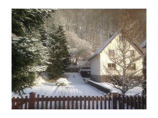 Winterstimmung Januar 2017