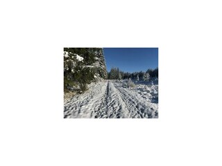 Die Eifel im Winter 2017/18