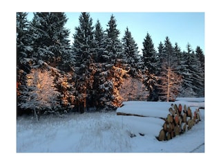 Wintermorgen im Nationalpark Eifel