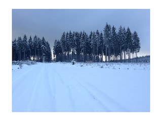 Winter im Nationalpark Eifel