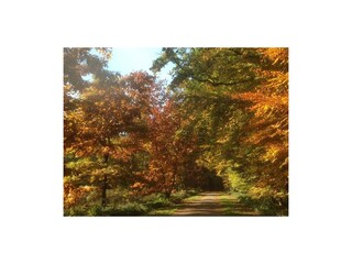 Indian Summer