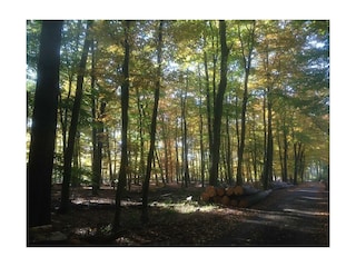 Herbststimmung