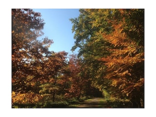 Indian Summer