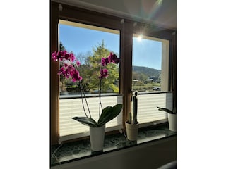 Blick aus dem Wohnzimmerfenster