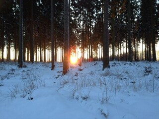 Sonnenaufgang im Nationalpark Eifel
