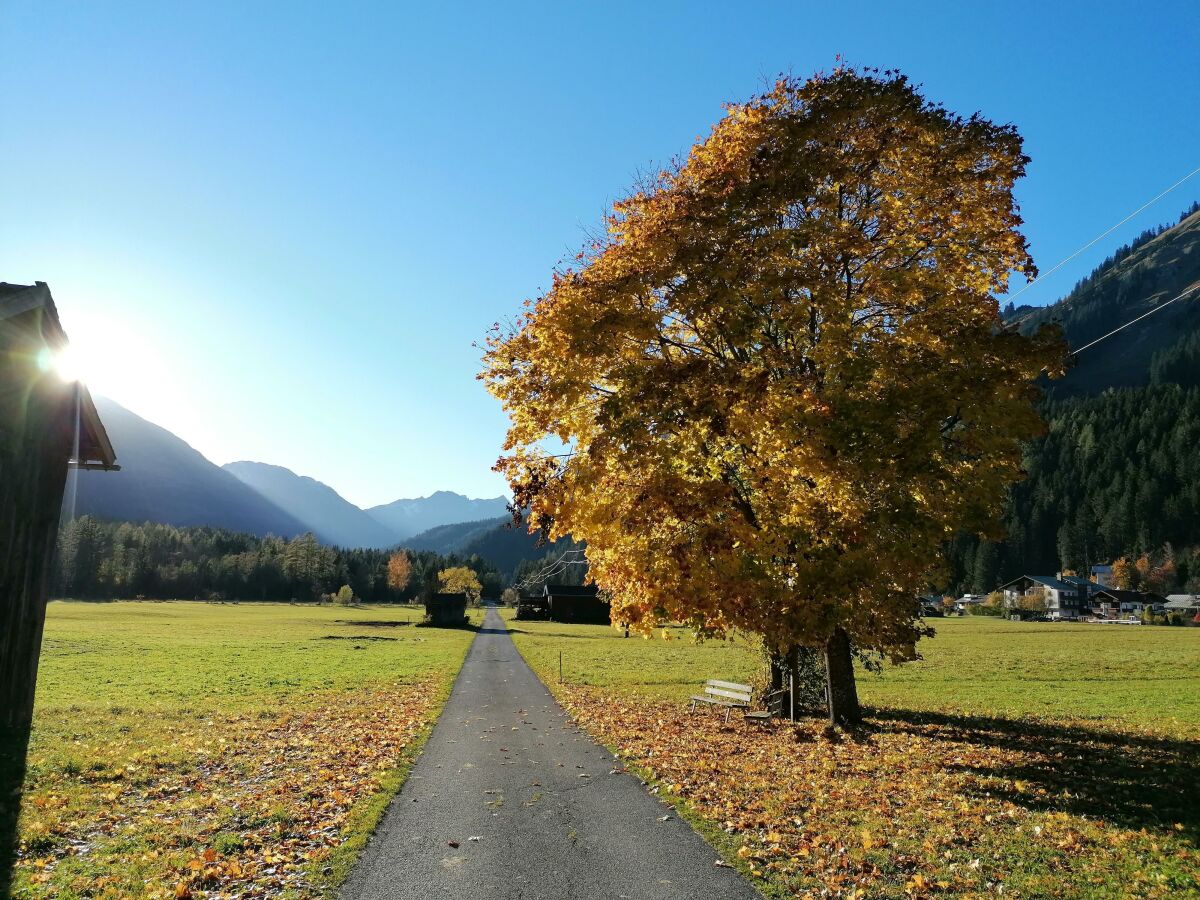 Holzgauer Feld