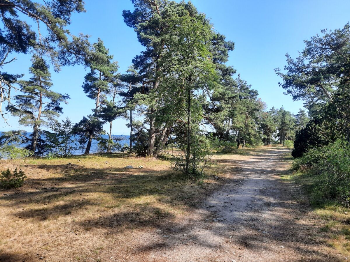 Naturreservat am Meer