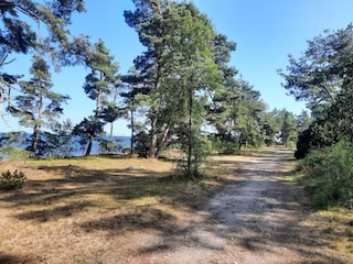 Naturreservat am Meer