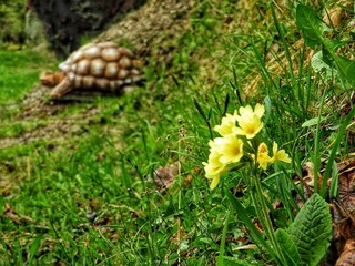 3D Ziel am hauseigenen Bogenparcours