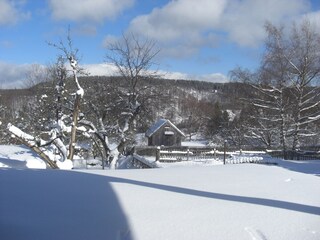Winter im Garten