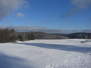 Blick in die Ferne
