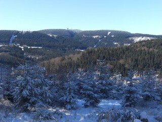 Ausblick