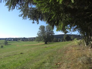 Bergwiesen