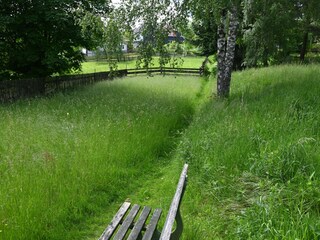 Wiesenweg am Garten