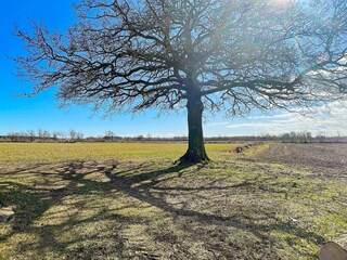 Casa per le vacanze Kalmar  11