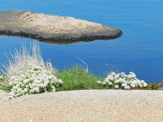 Vakantiehuis Lysekil Buitenaudio-opname 9