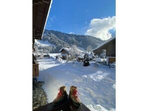 Charming apartment in Lenk - Lenk - image1