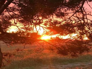 Maison de vacances Pruchten Environnement 33