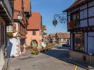 Apartment Dambach-la-Ville Umgebung 27