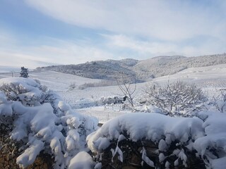 Appartement Dambach-la-Ville Omgeving 30