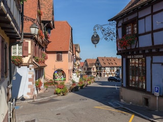 Appartement Dambach-la-Ville Environnement 26