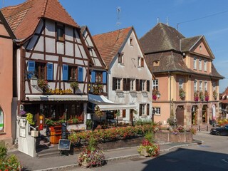 Apartment Dambach-la-Ville Außenaufnahme 4