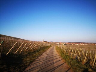 Apartment Dambach-la-Ville Environment 28