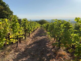 Appartamento Dambach-la-Ville Ambiente 28