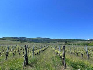 Appartamento Dambach-la-Ville Ambiente 38