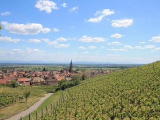 Appartement Dambach-la-Ville Environnement 30