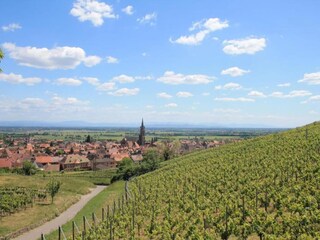 Appartement Dambach-la-Ville Environnement 34