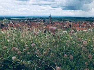 Appartement Dambach-la-Ville Omgeving 31