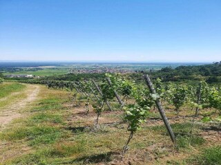 Appartamento Dambach-la-Ville Ambiente 31