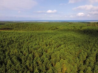 Apartamento Luino Entorno 39