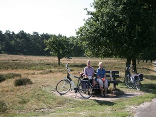 Ferienpark Hooghalen Umgebung 18