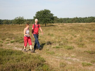Vakantiepark Hooghalen Omgeving 16