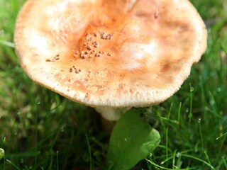 Ferienpark Hooghalen Umgebung 16