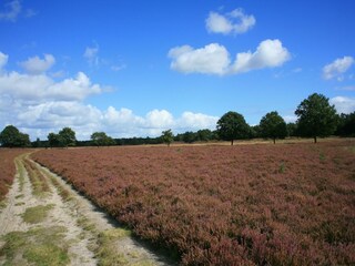 Vakantiepark Hooghalen Omgeving 19