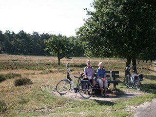 Vakantiepark Hooghalen Omgeving 22