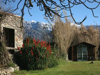 Holiday apartment Montegrosso Outdoor Recording 7