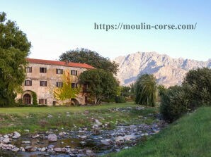 Holiday apartment Moulin Corse