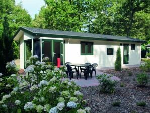 Holiday park Comfortable chalet with dishwasher, in a nature reserve - Hooghalen - image1