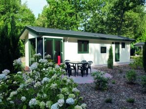 Vakantiepark Comfortabel chalet met afwasmachine, in een natuurgebied - Hooghalen - image1