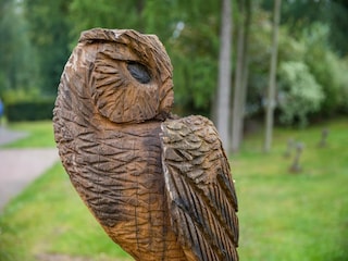 Parc de vacances Hooghalen  25