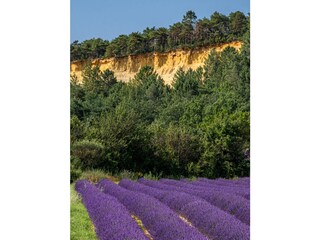 Vakantiehuis Villars Omgeving 36